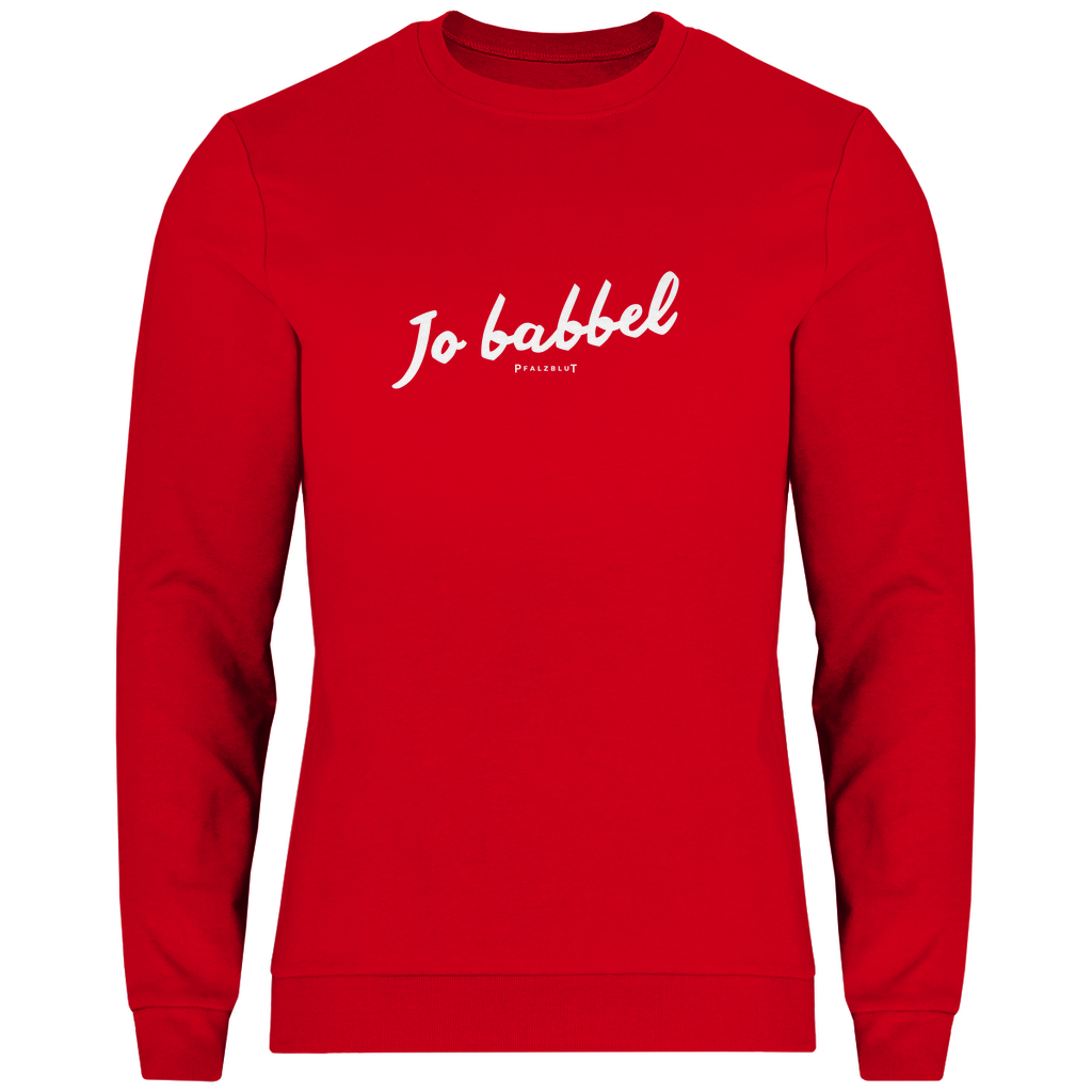 Herren Sweatshirt "Jo babbel"